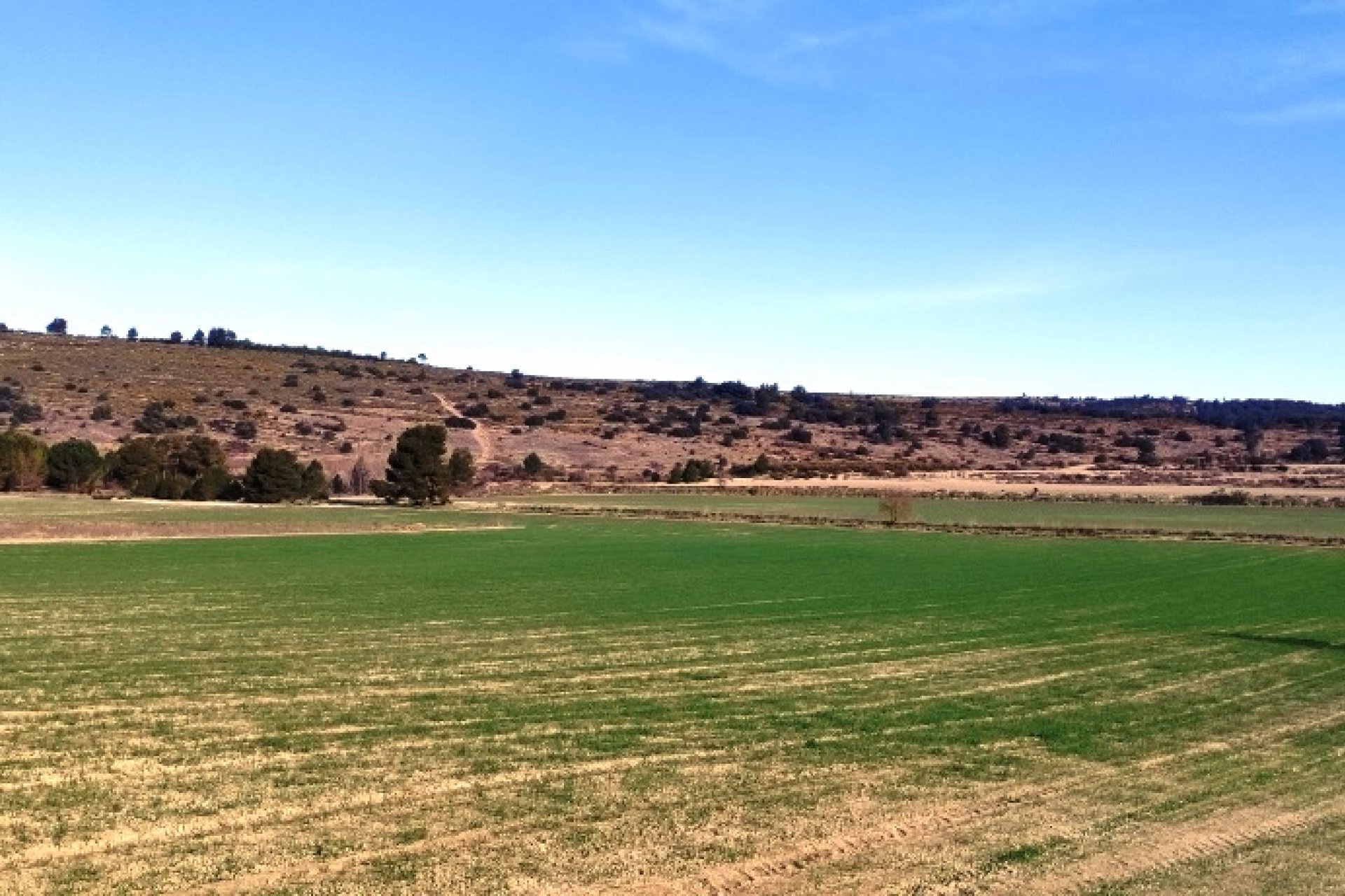 Wiederverkauf - Land - Alfafara