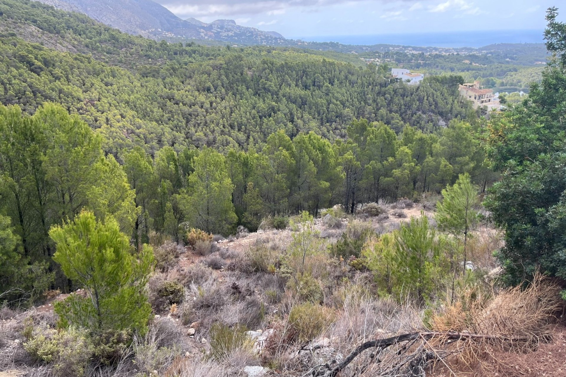 Wiederverkauf - Land - Altea - Sierra de Altea