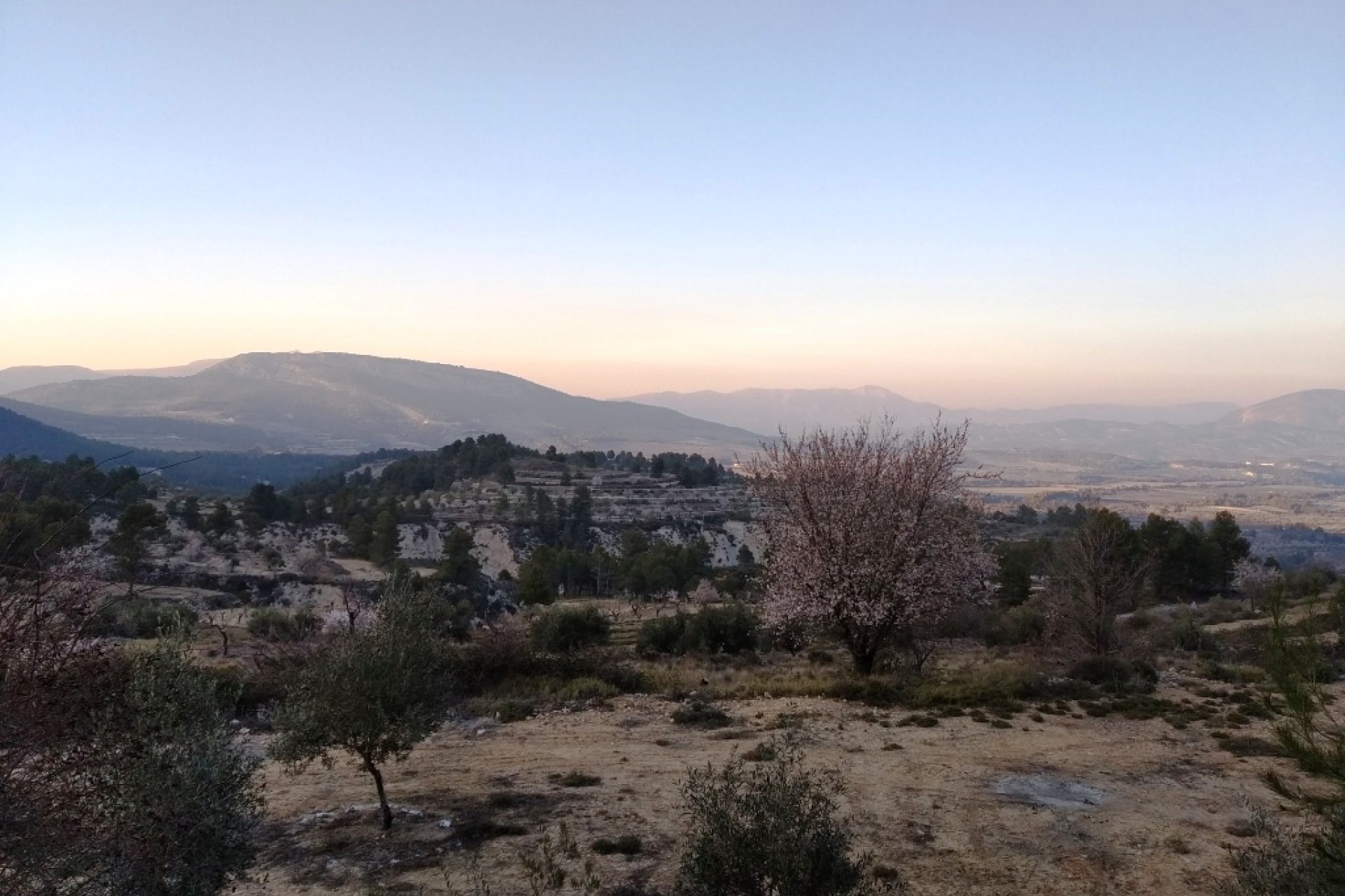 Wiederverkauf - Land - Benifallim