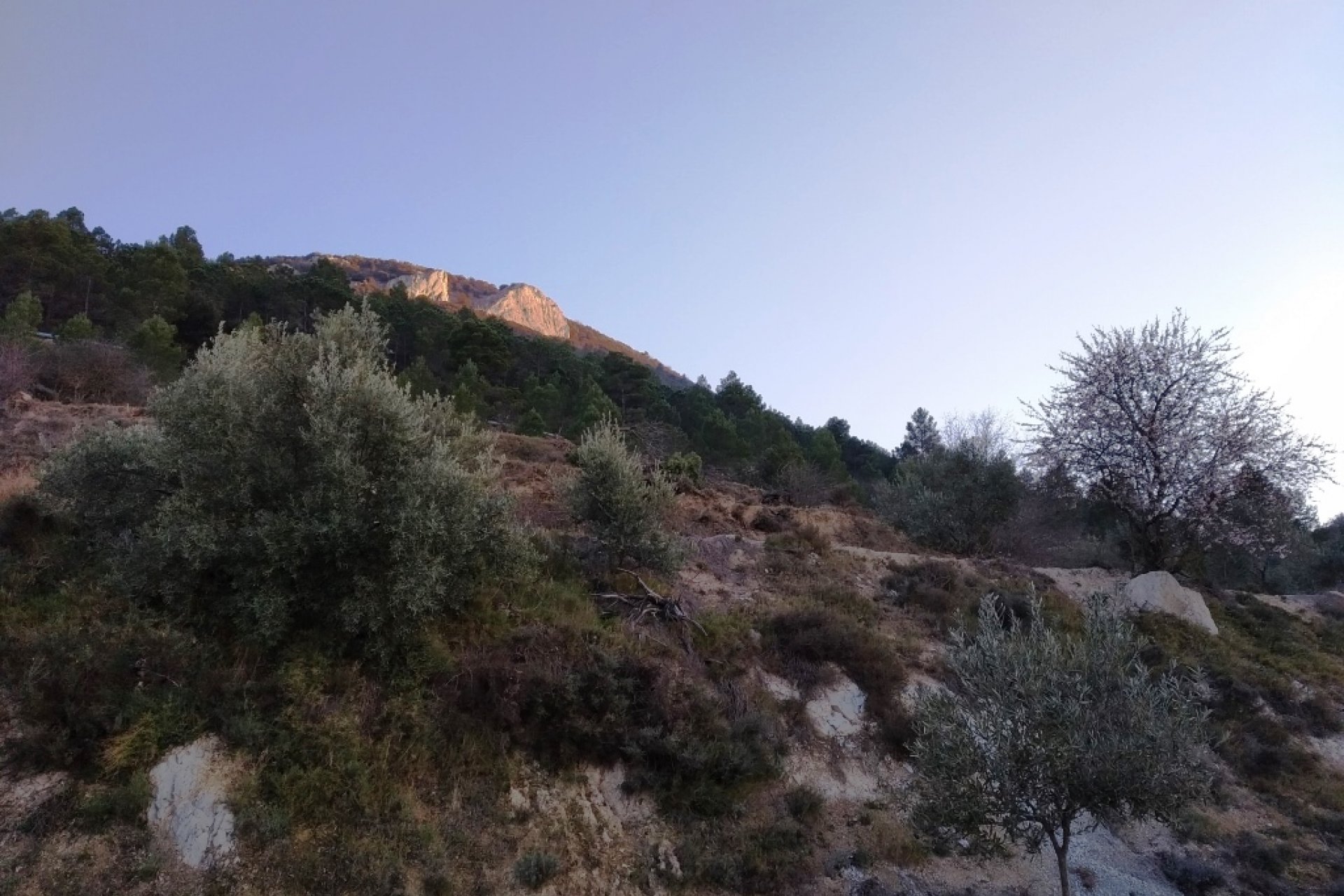 Wiederverkauf - Land - Benifallim