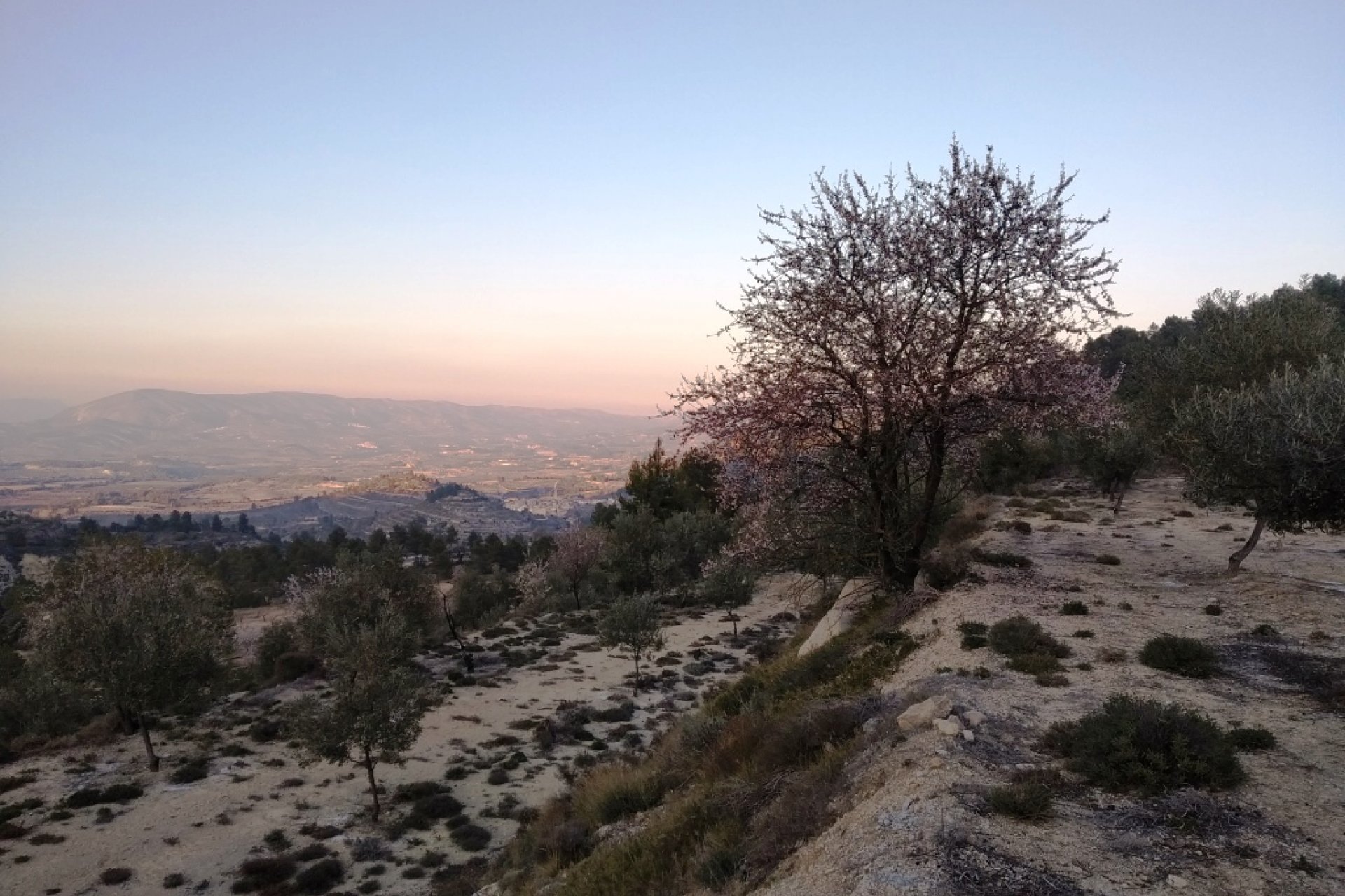 Wiederverkauf - Land - Benifallim