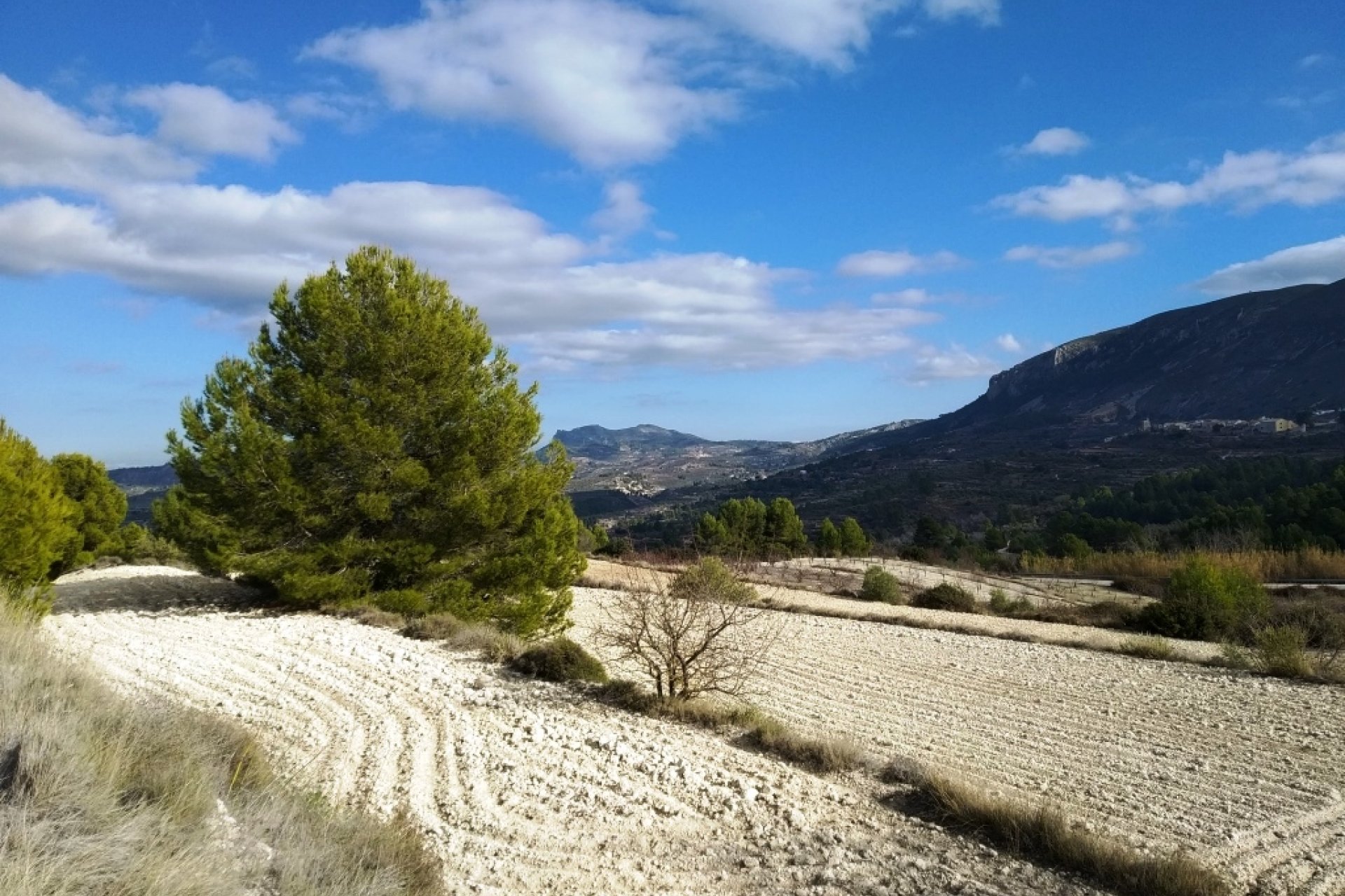 Wiederverkauf - Land - Benillup