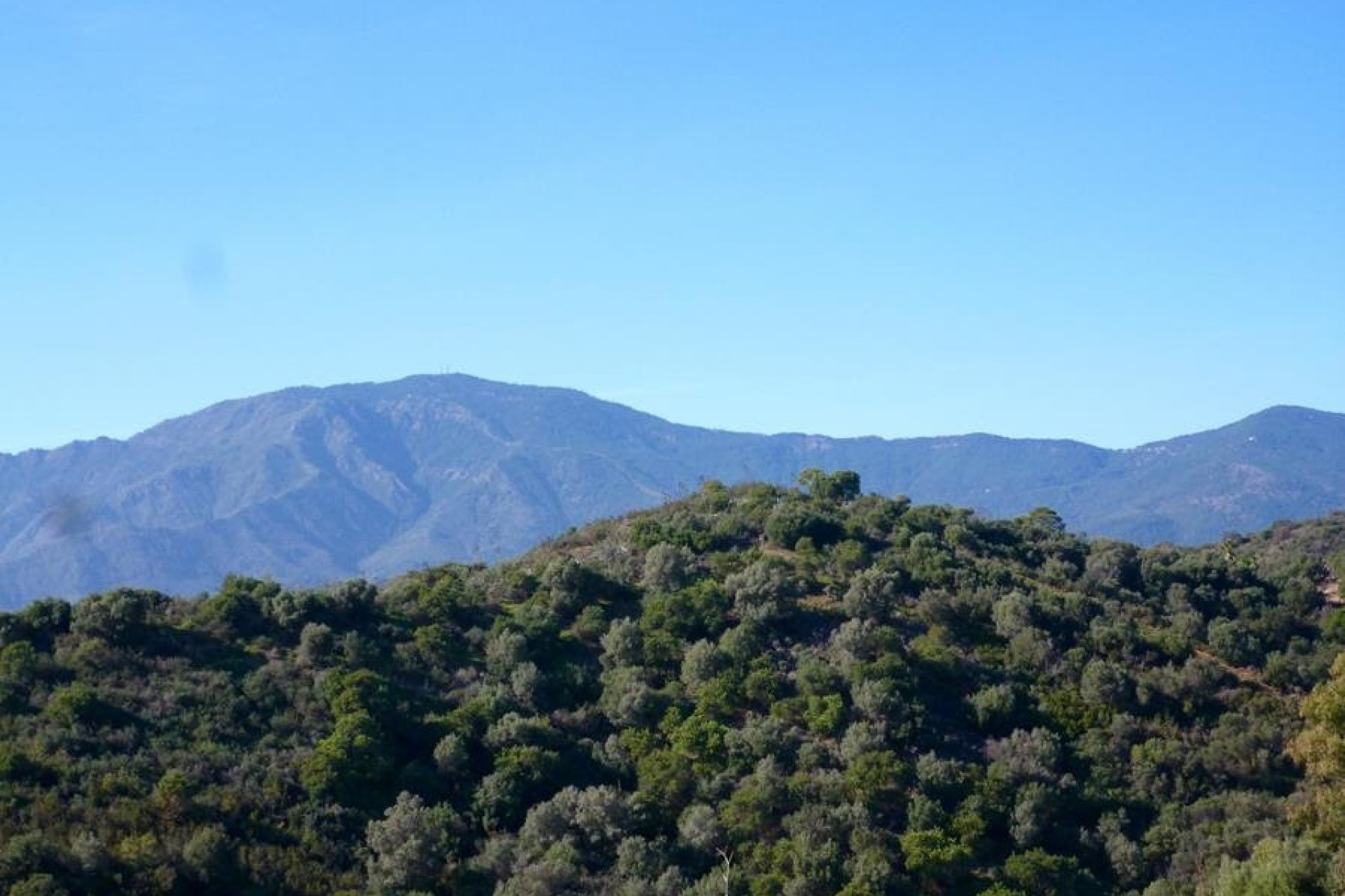 Wiederverkauf - Land - Estepona - Selwo