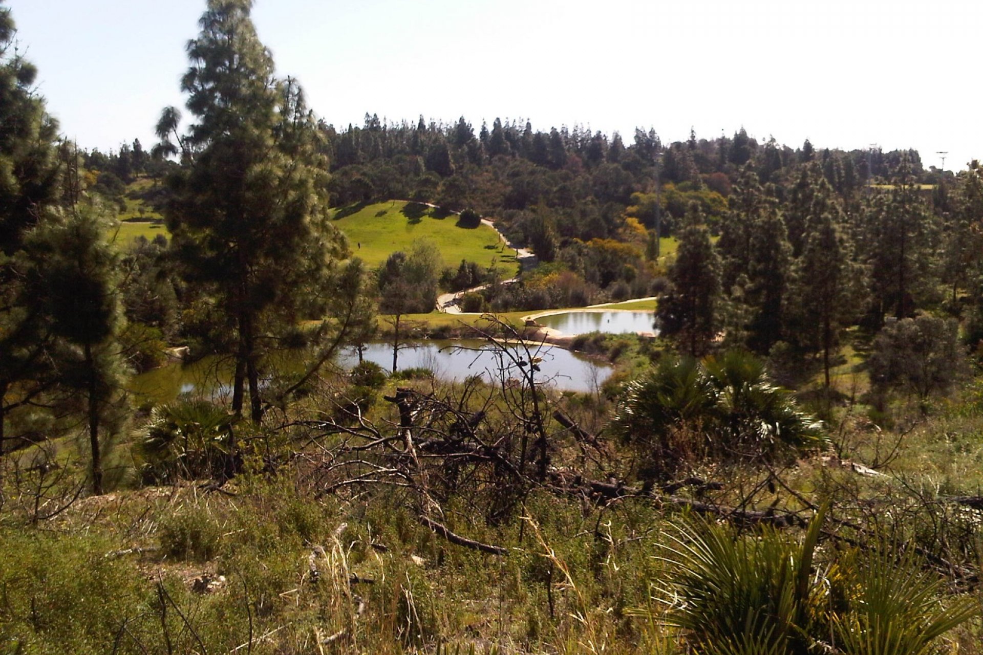 Wiederverkauf - Land - Mijas - El Chaparral