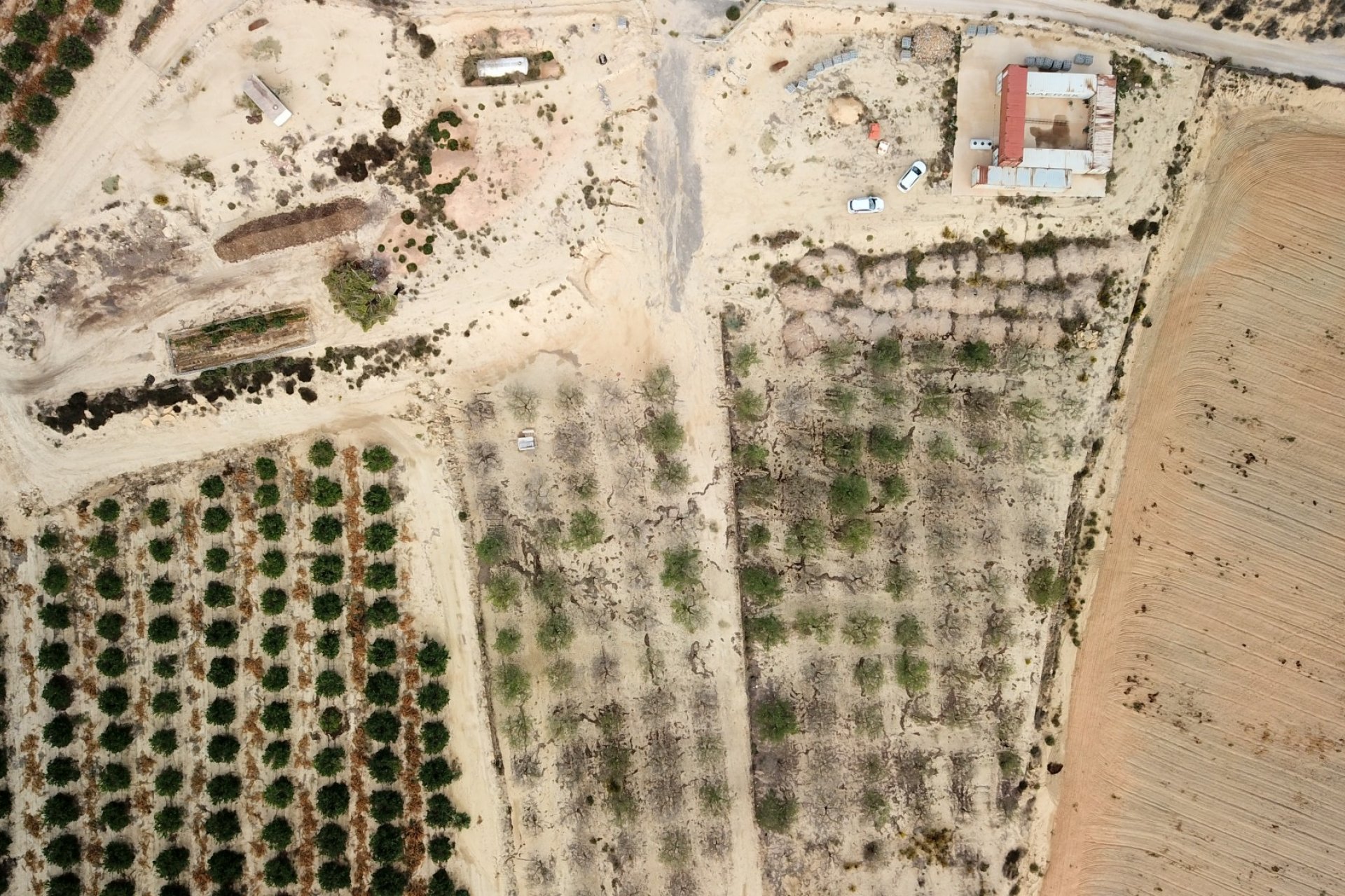 Wiederverkauf - Land - Torremendo - Torremendo - Country