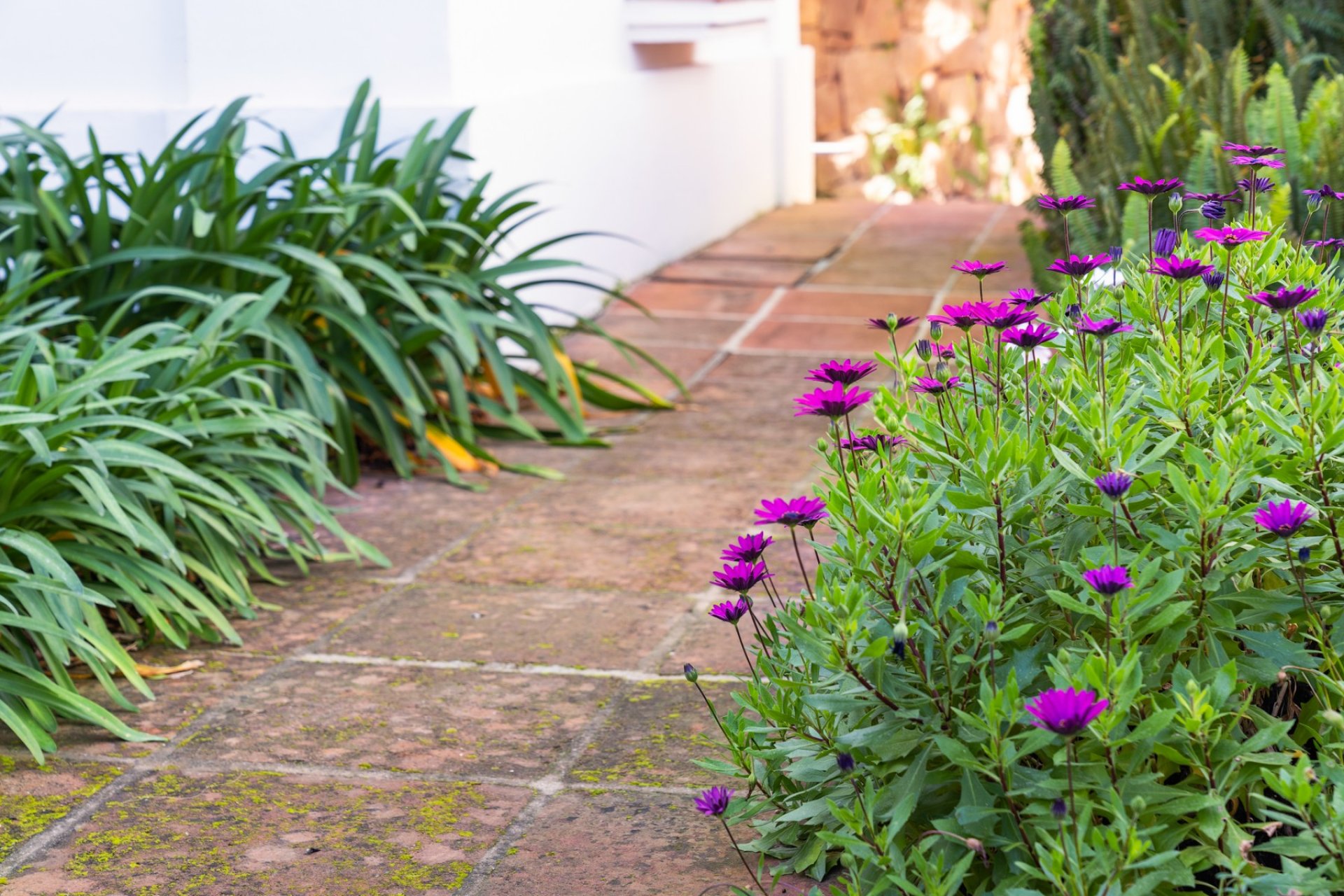 Wiederverkauf - Villa - Marbella - Los Monteros