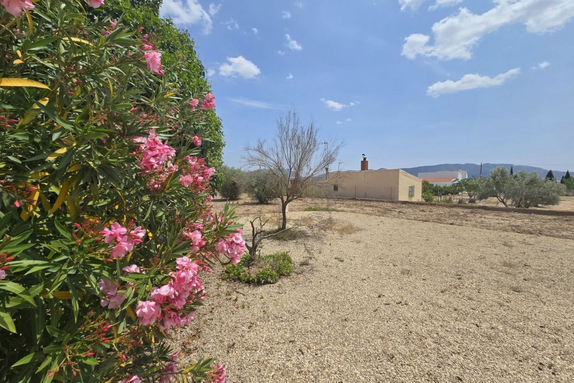 Wiederverkauf - Villa - Salinas