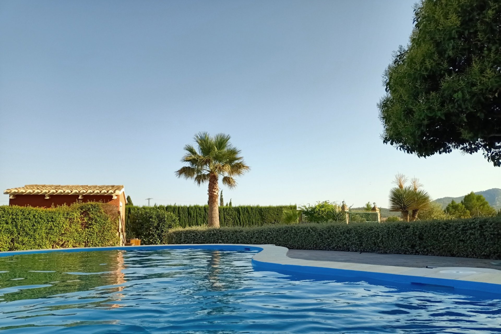 بازفروش - Finca/Rustic Property - Salinas