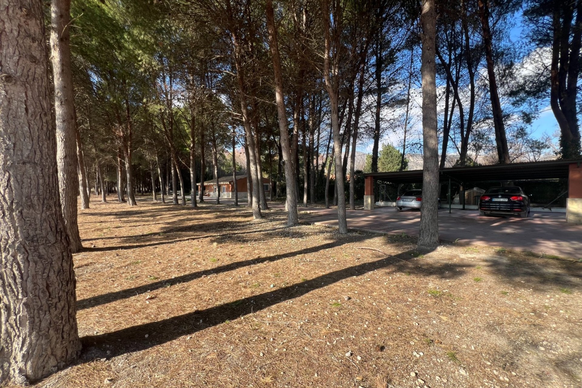 بازفروش - Finca/Rustic Property - Salinas