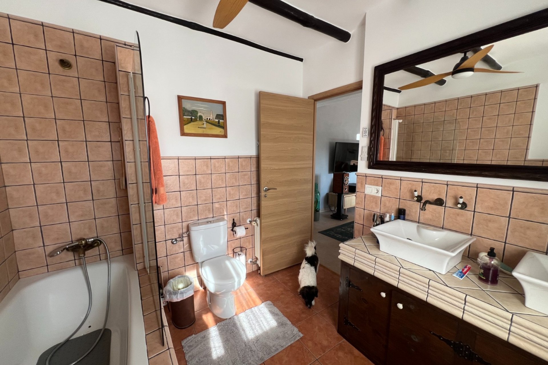 بازفروش - Finca/Rustic Property - Salinas