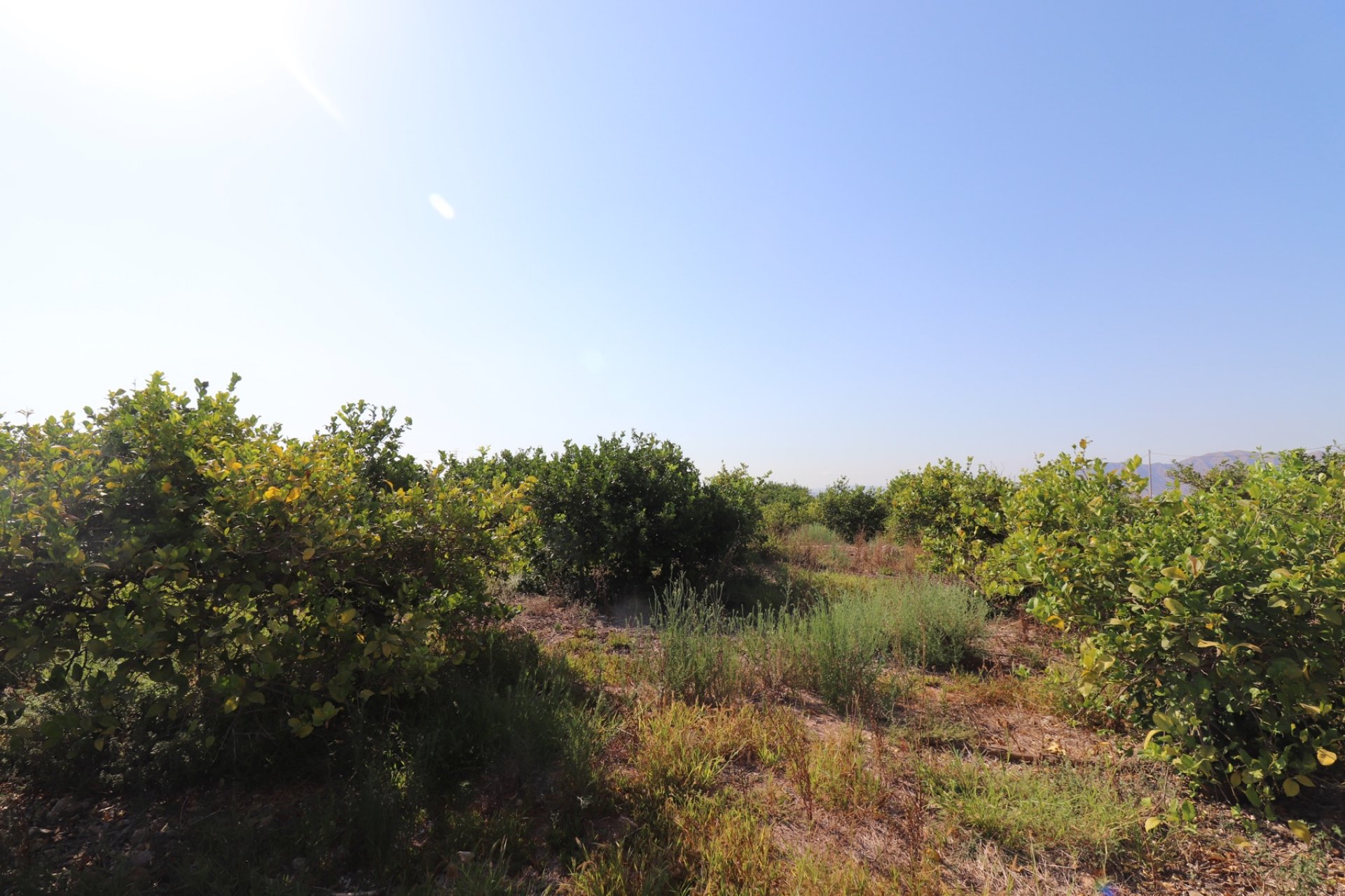 بازفروش - خانه روستایی - Albatera