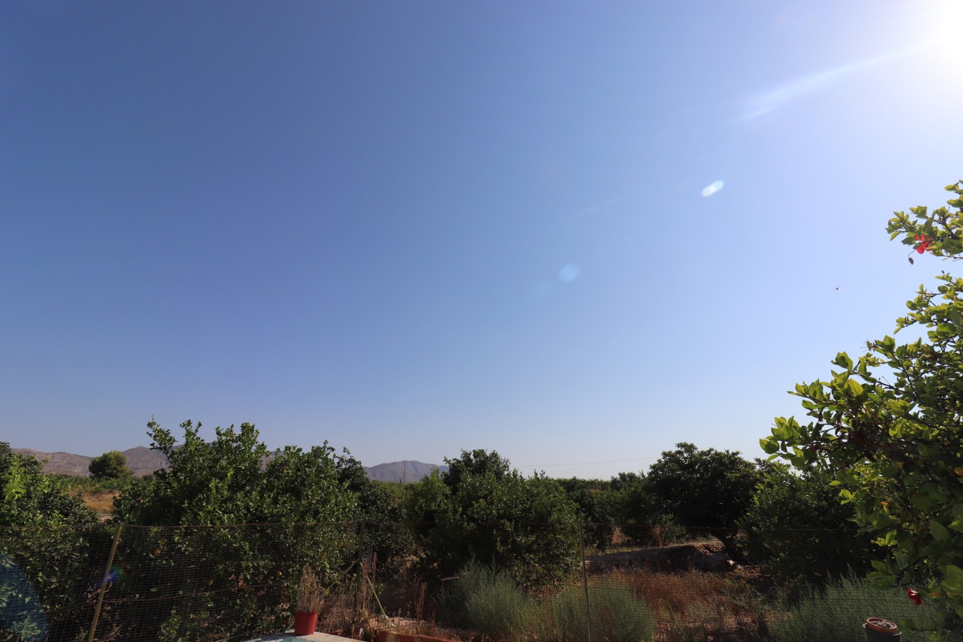 بازفروش - خانه روستایی - Albatera