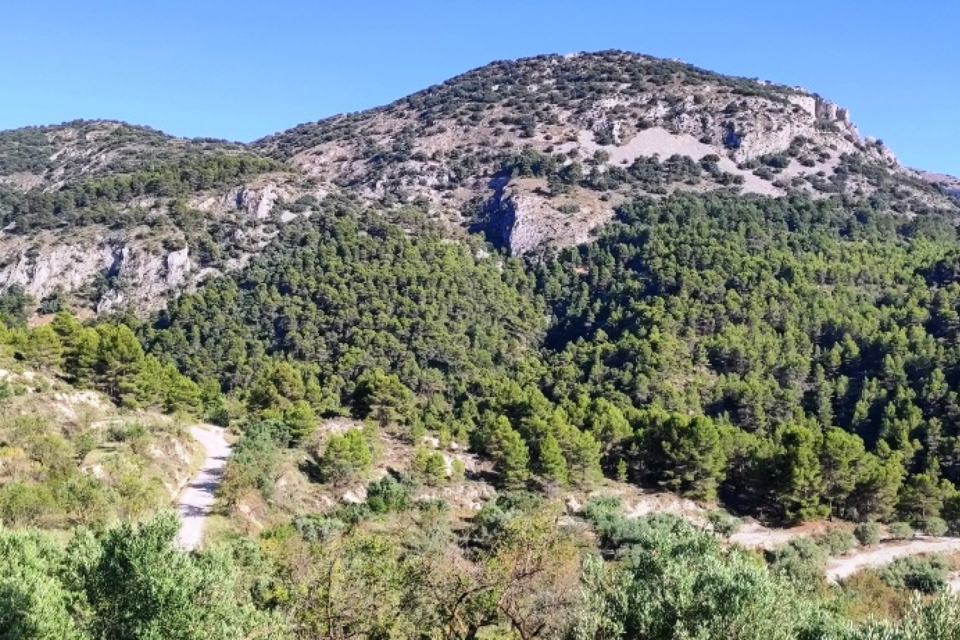 بازفروش - خانه روستایی - Benasau