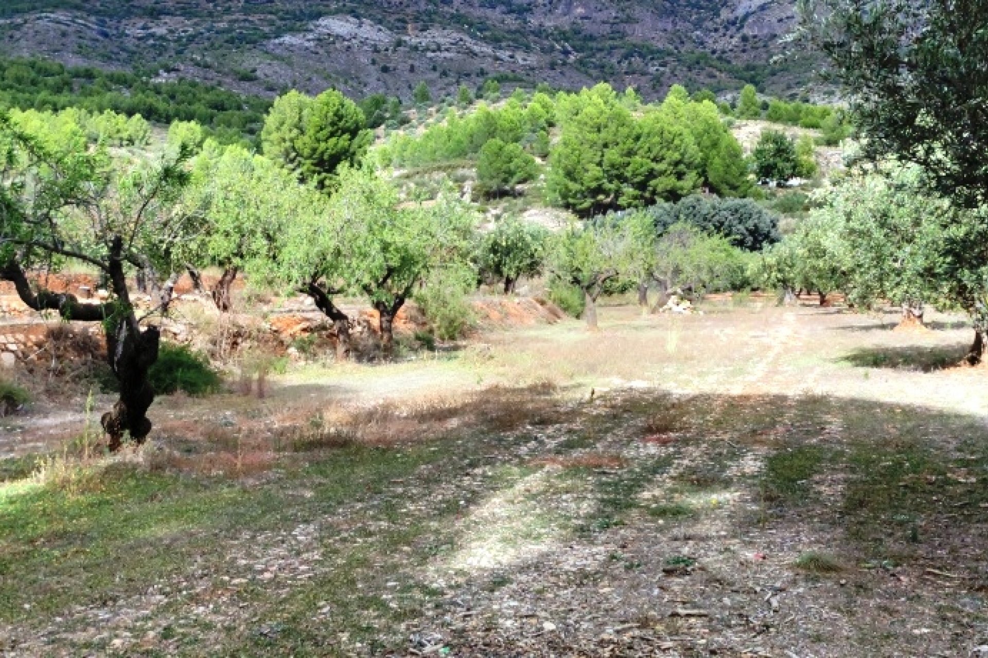 بازفروش - خانه روستایی - Muro de Alcoy