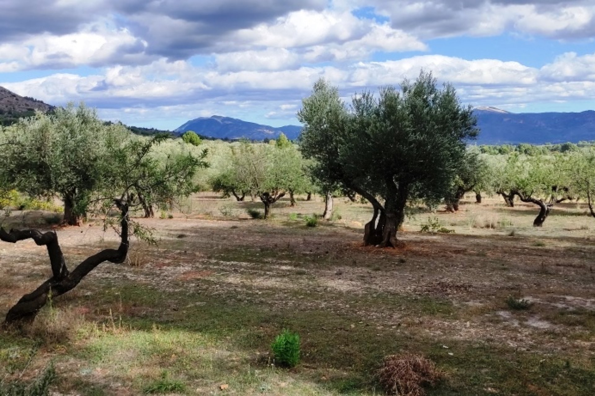 بازفروش - خانه روستایی - Muro de Alcoy