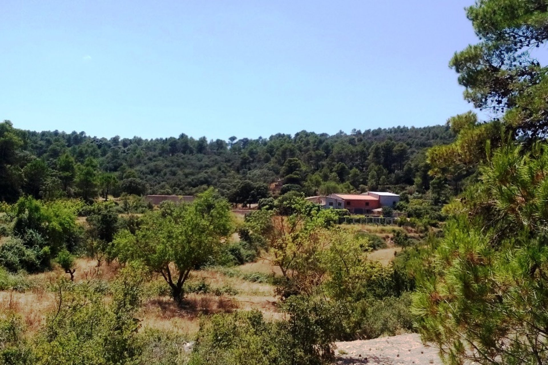 بازفروش - خانه روستایی - Penáguila