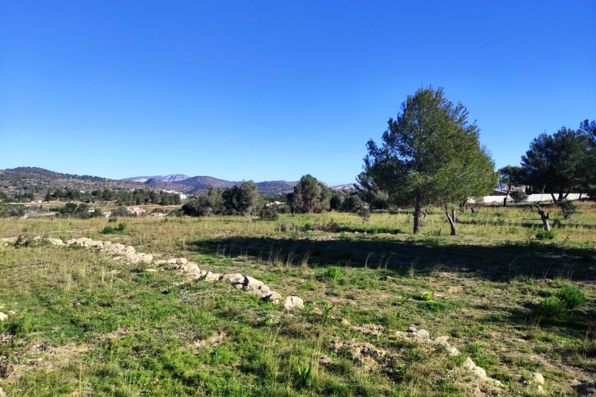 بازفروش - زمین - Benissa