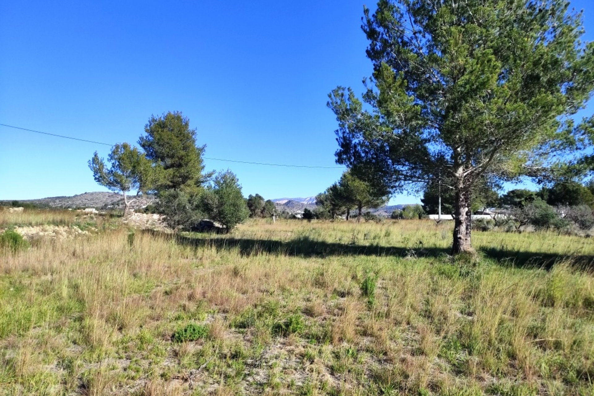 بازفروش - زمین - Benissa