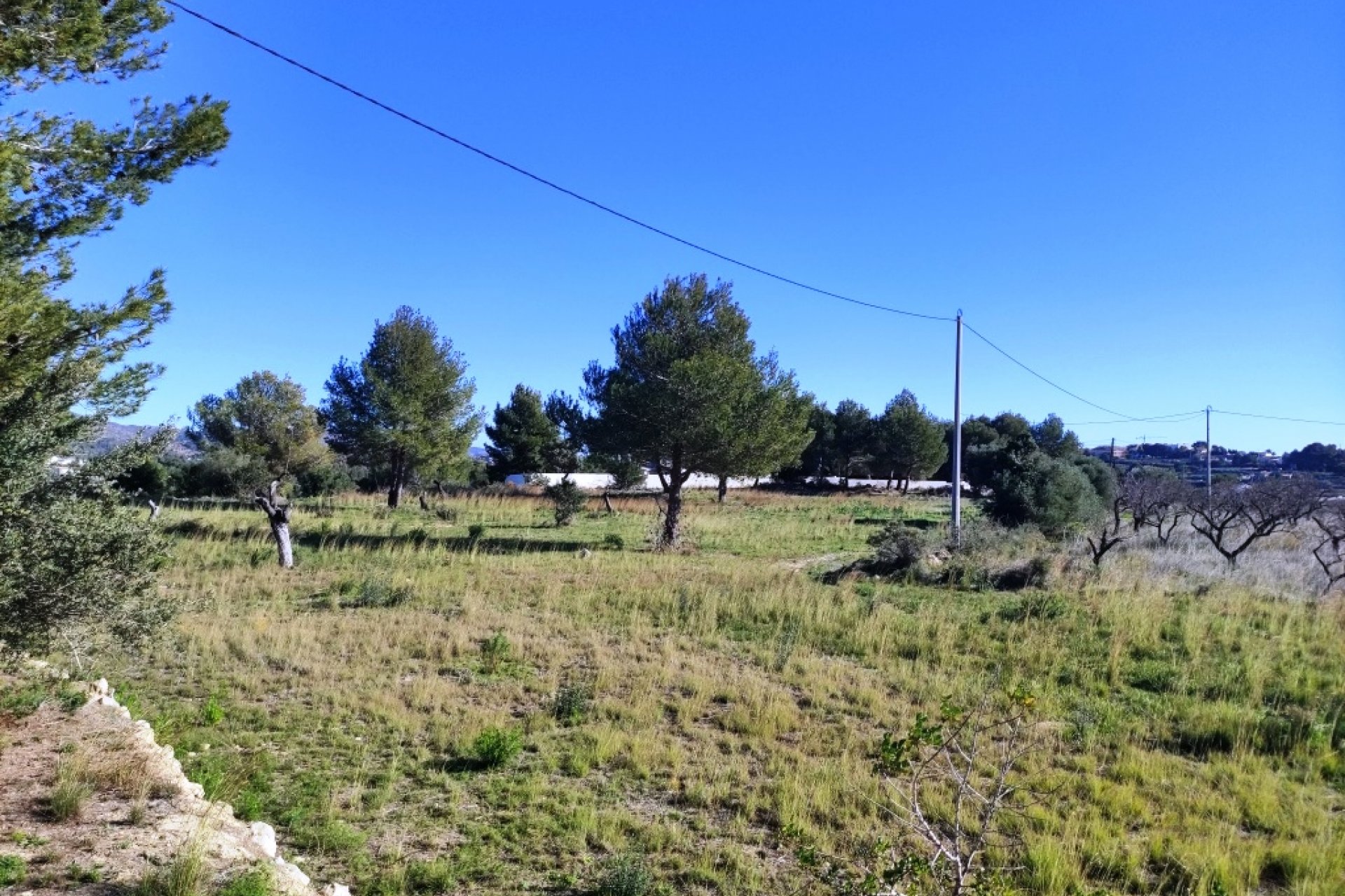 بازفروش - زمین - Benissa