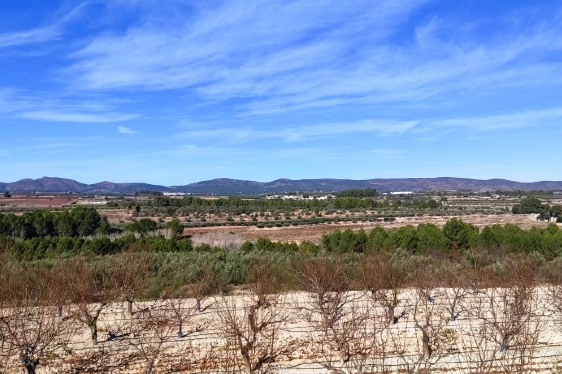 بازفروش - زمین - Bufali