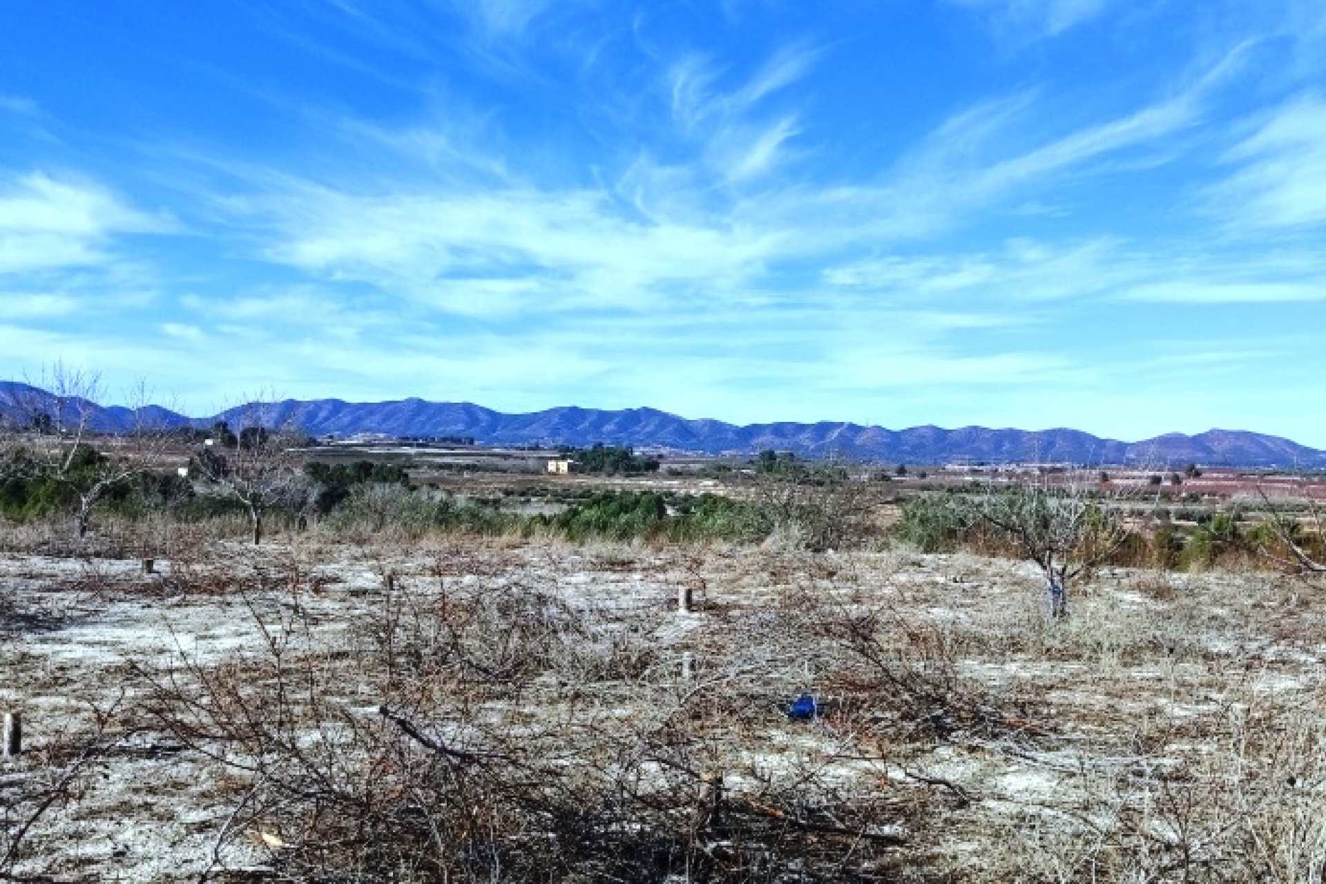 بازفروش - زمین - Bufali