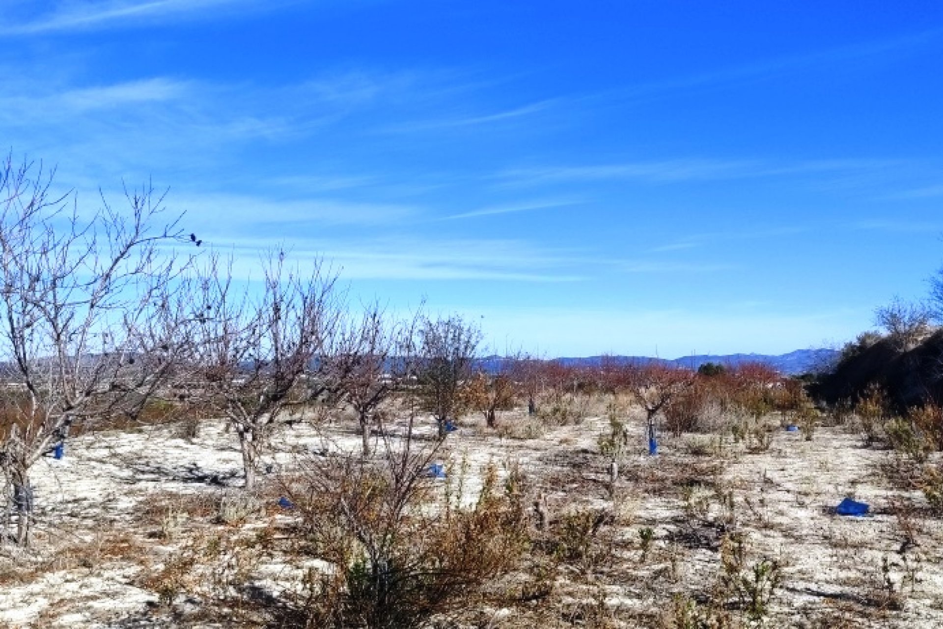 بازفروش - زمین - Bufali