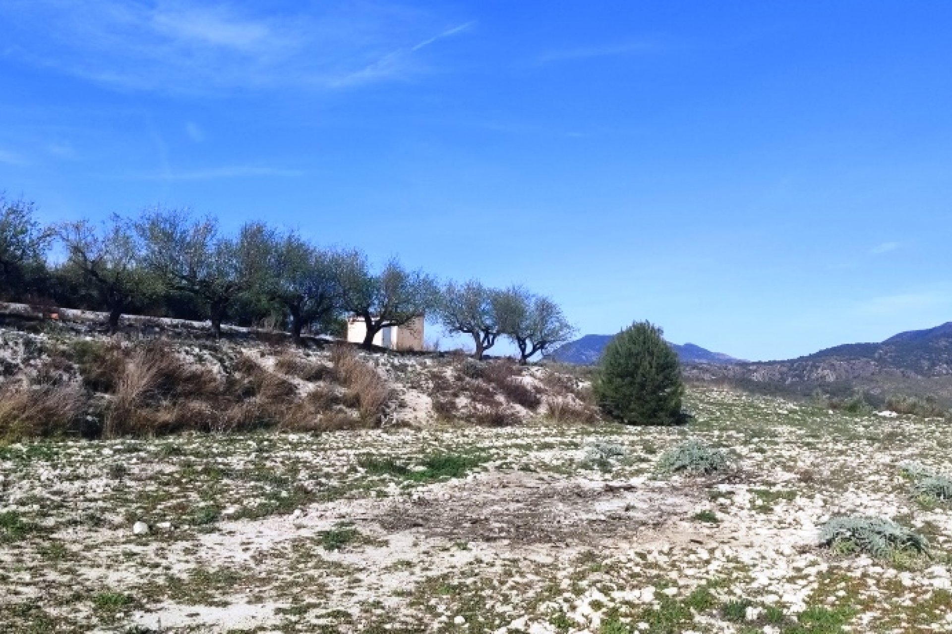 بازفروش - زمین - Planes