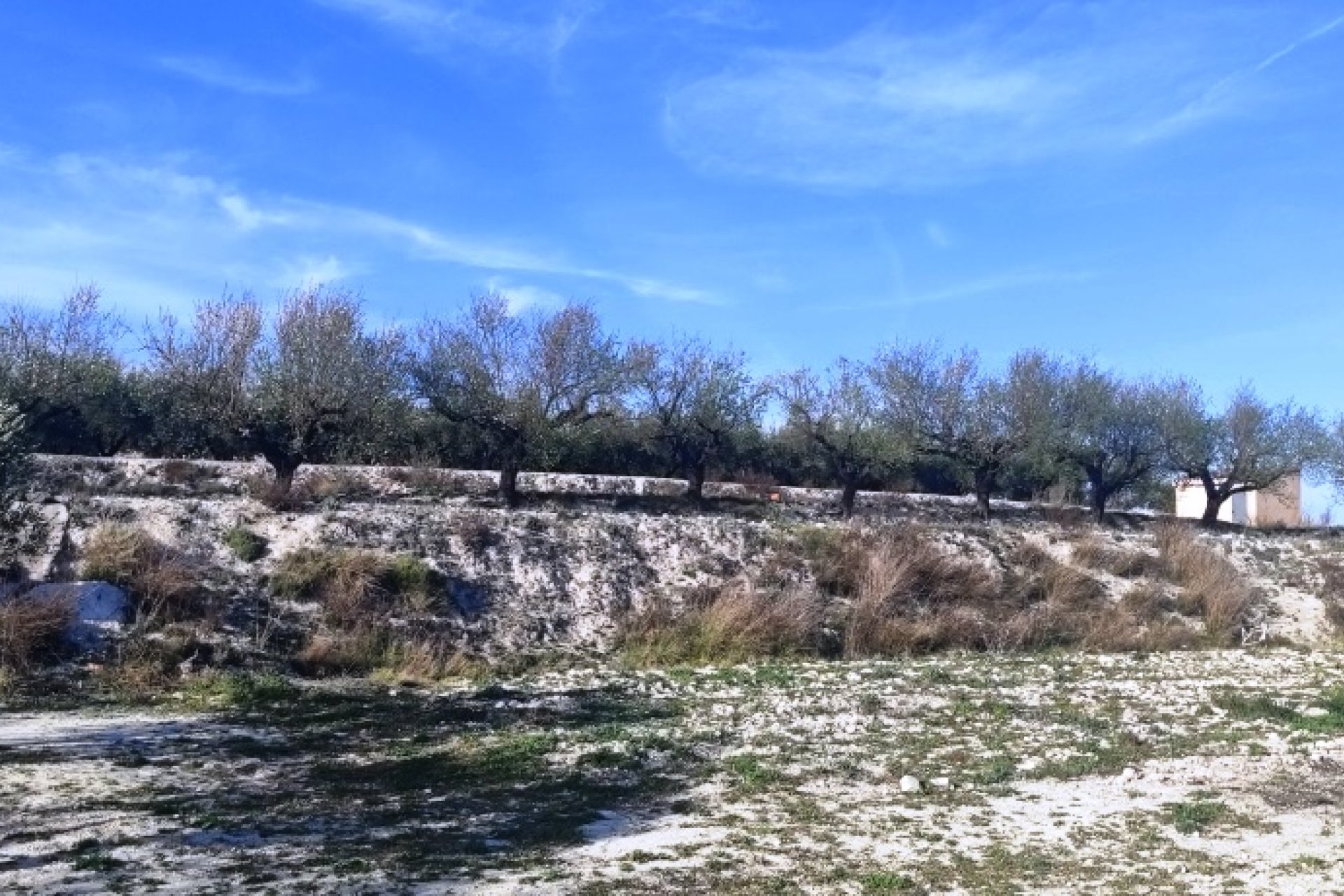 بازفروش - زمین - Planes