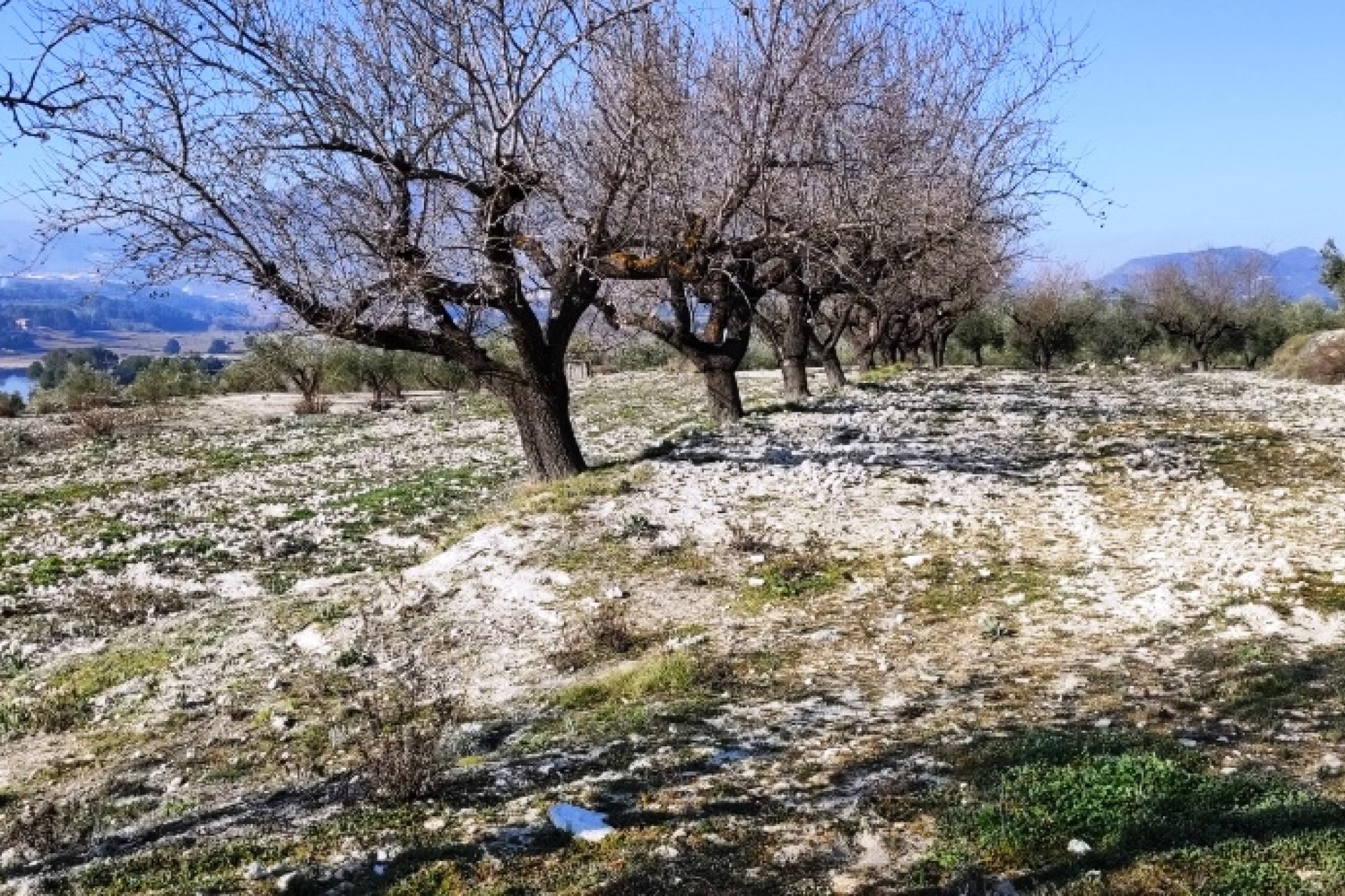 بازفروش - زمین - Planes