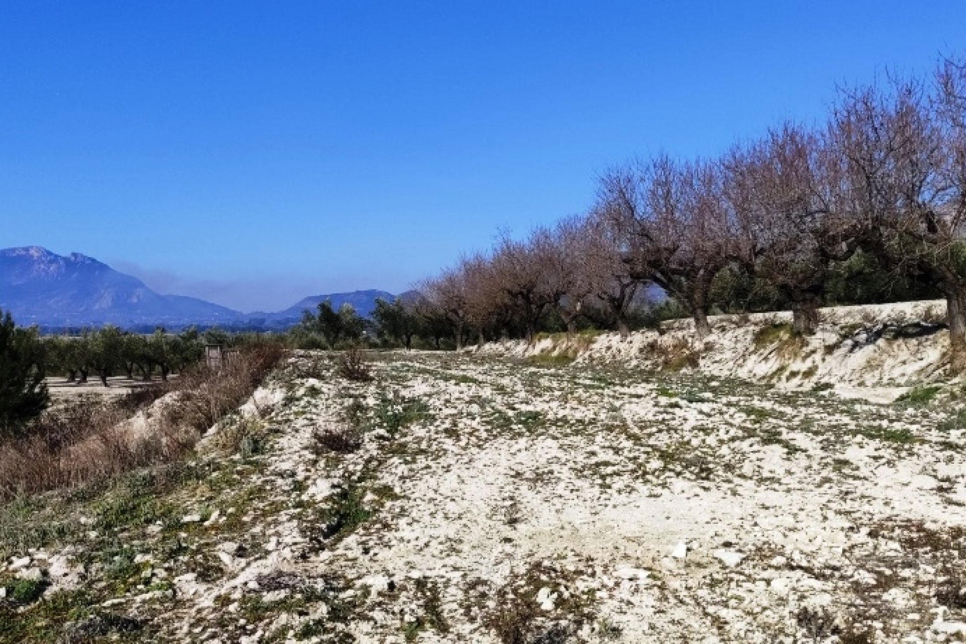 بازفروش - زمین - Planes