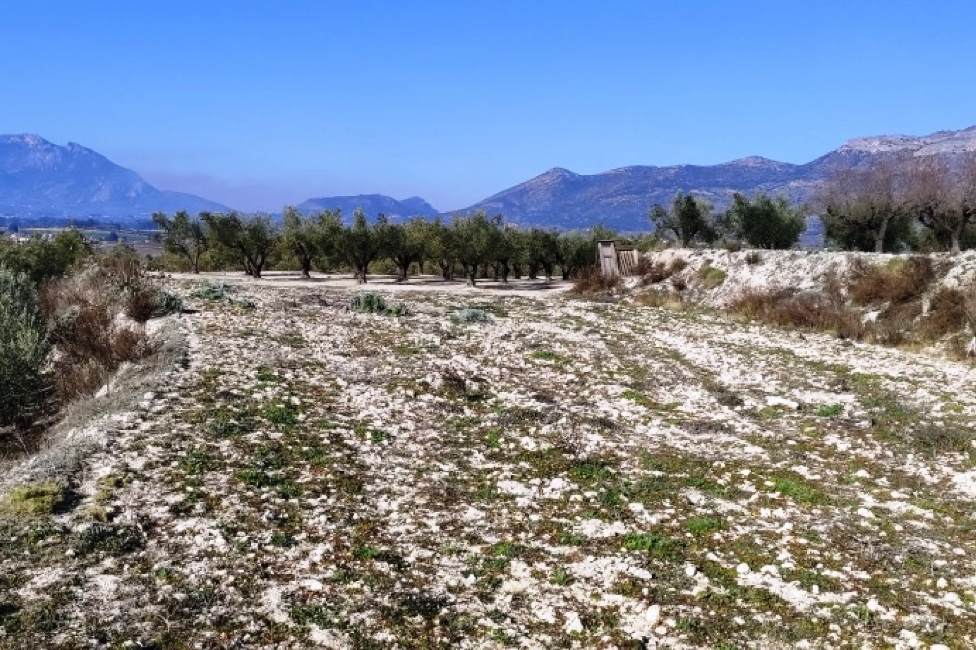 بازفروش - زمین - Planes