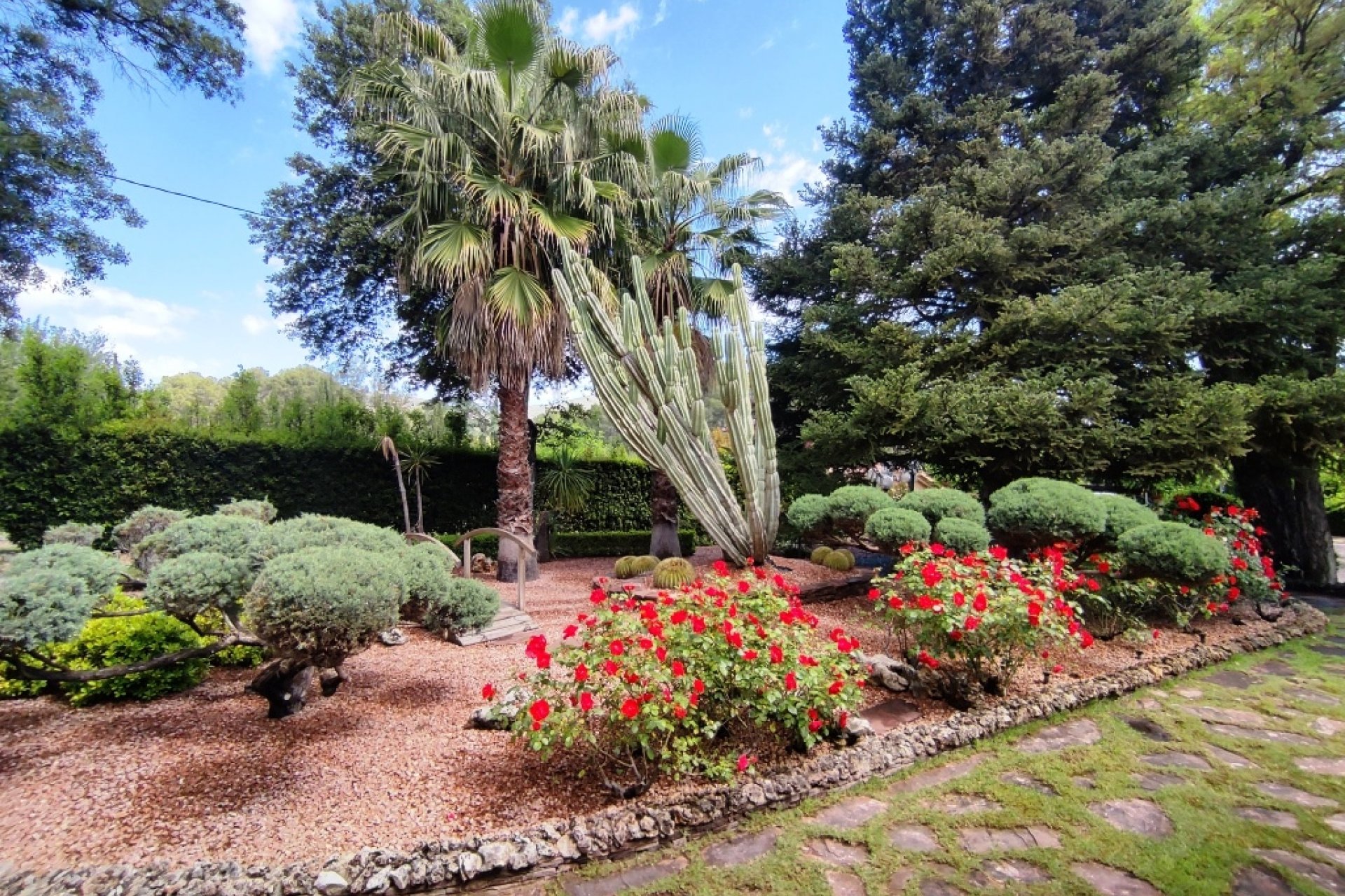 بازفروش - ویلا - Cocentaina