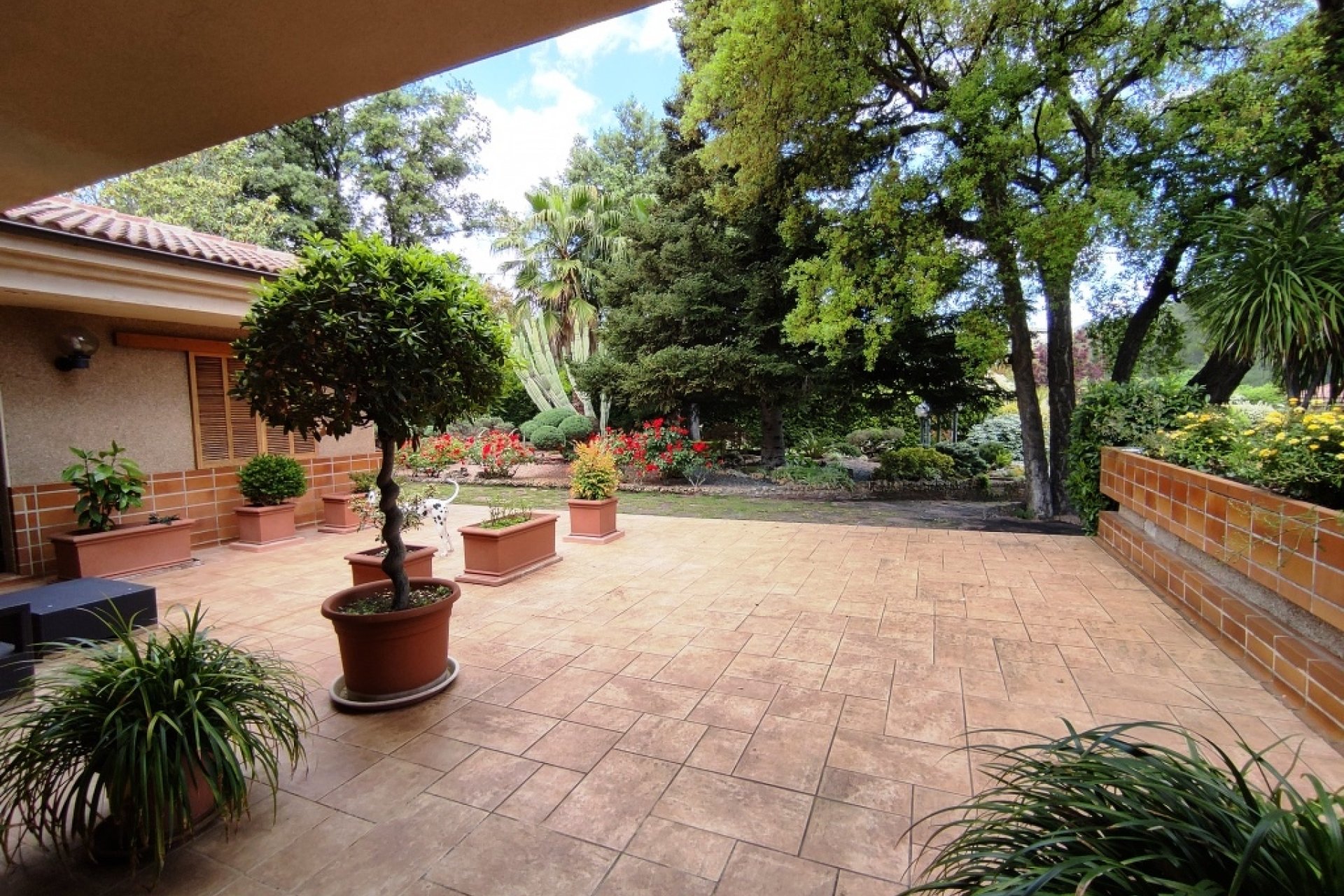 بازفروش - ویلا - Cocentaina