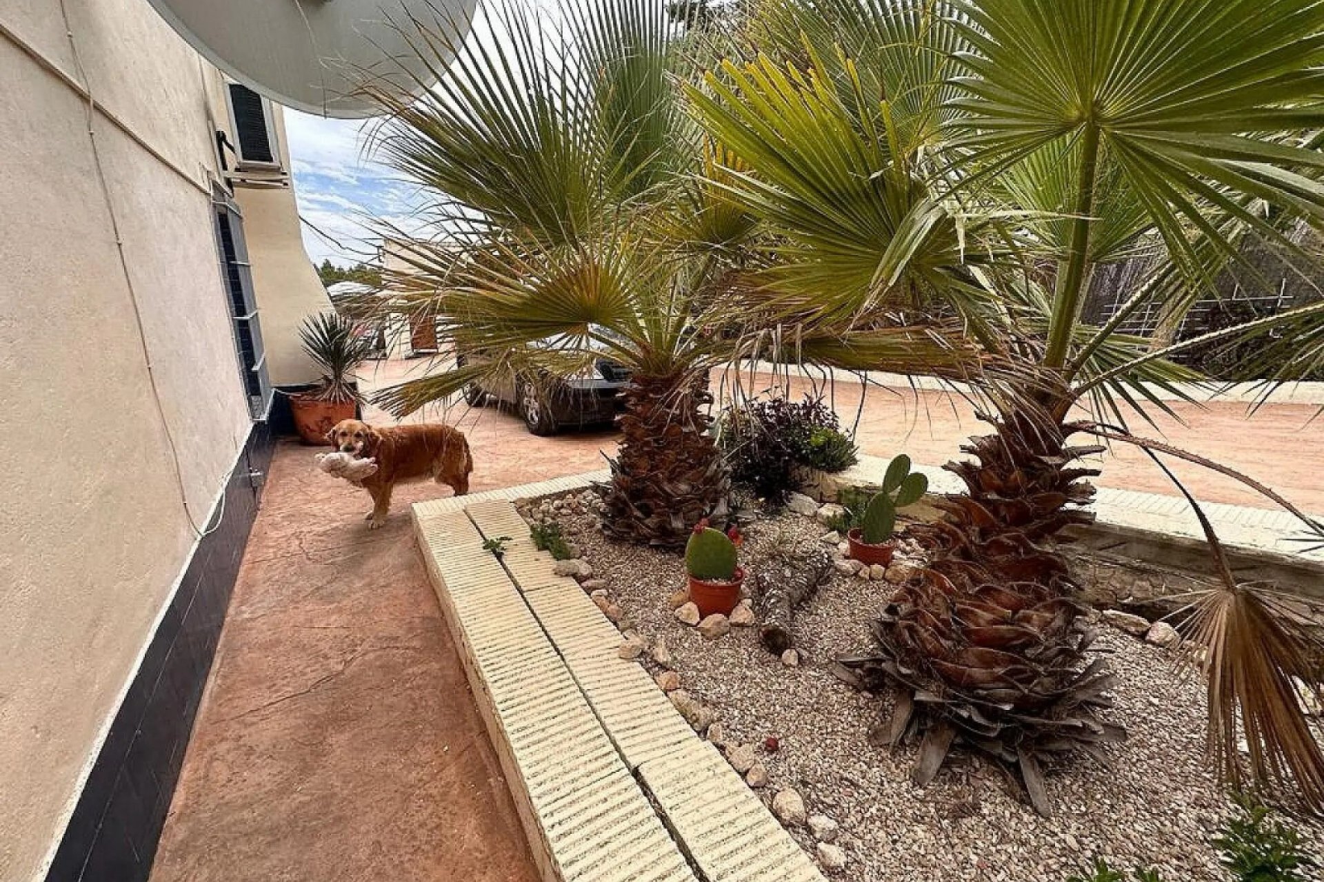 بازفروش - ویلا - Sax