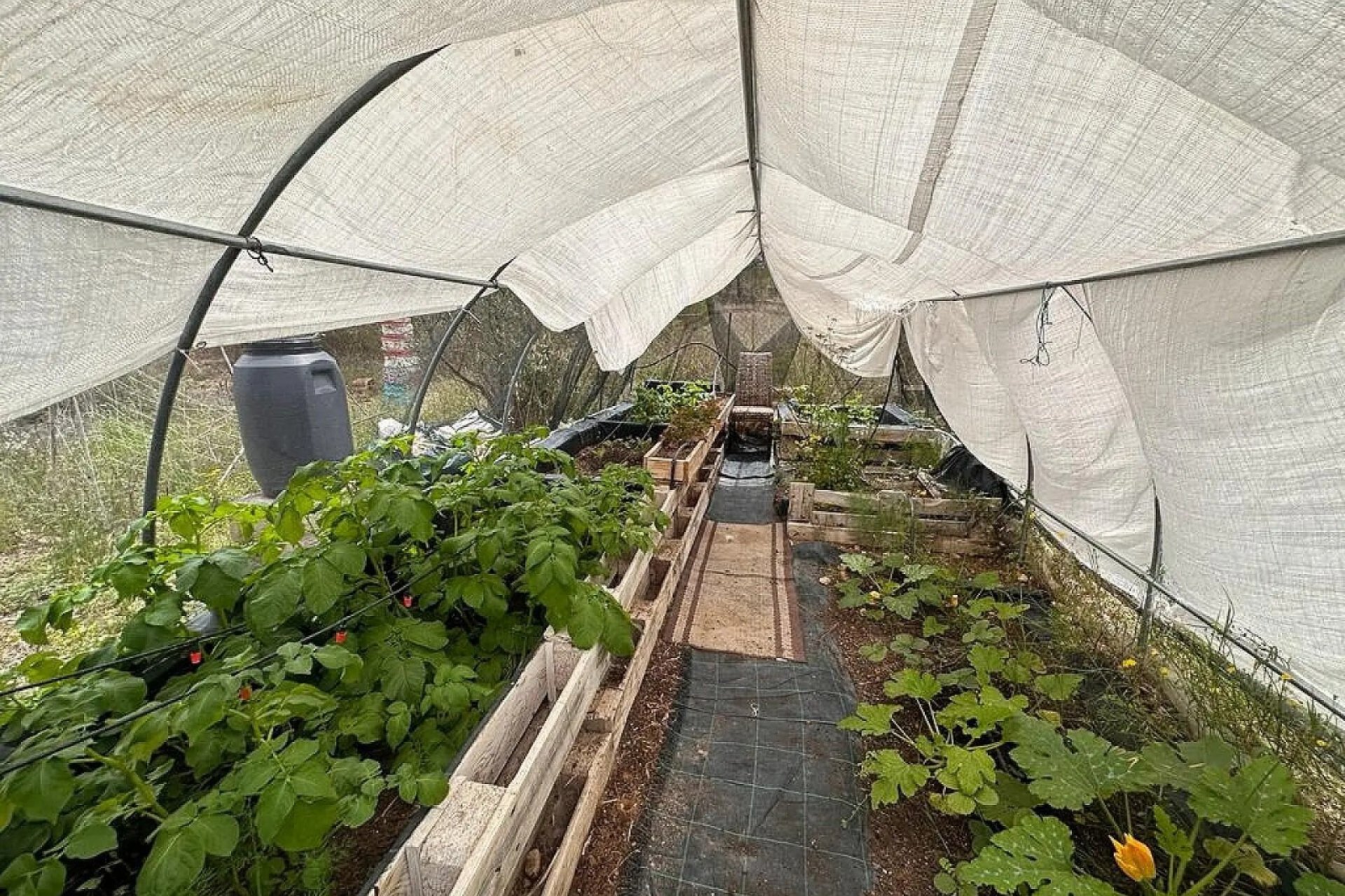 بازفروش - ویلا - Sax