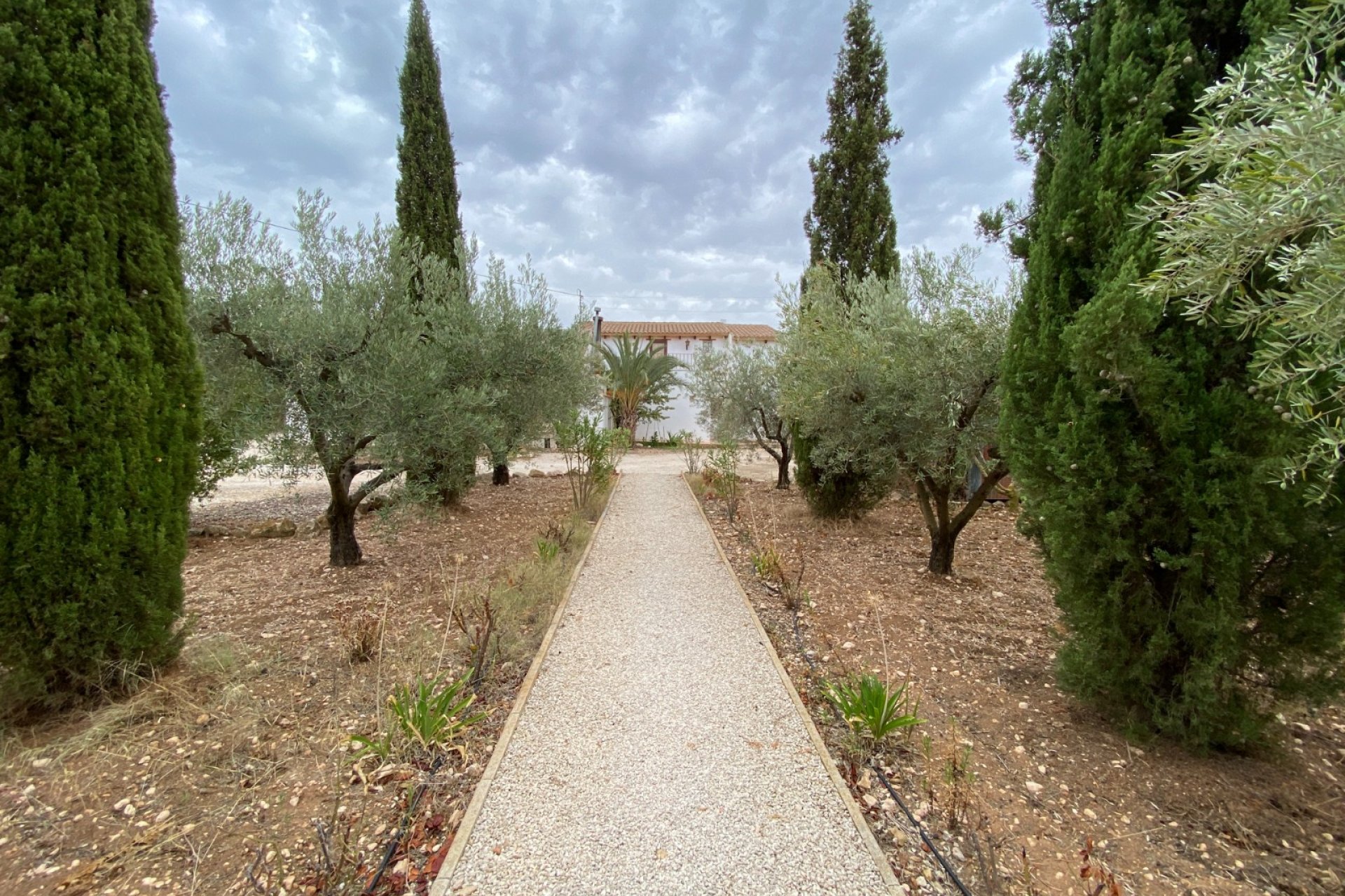 بازفروش - ویلا - Sax