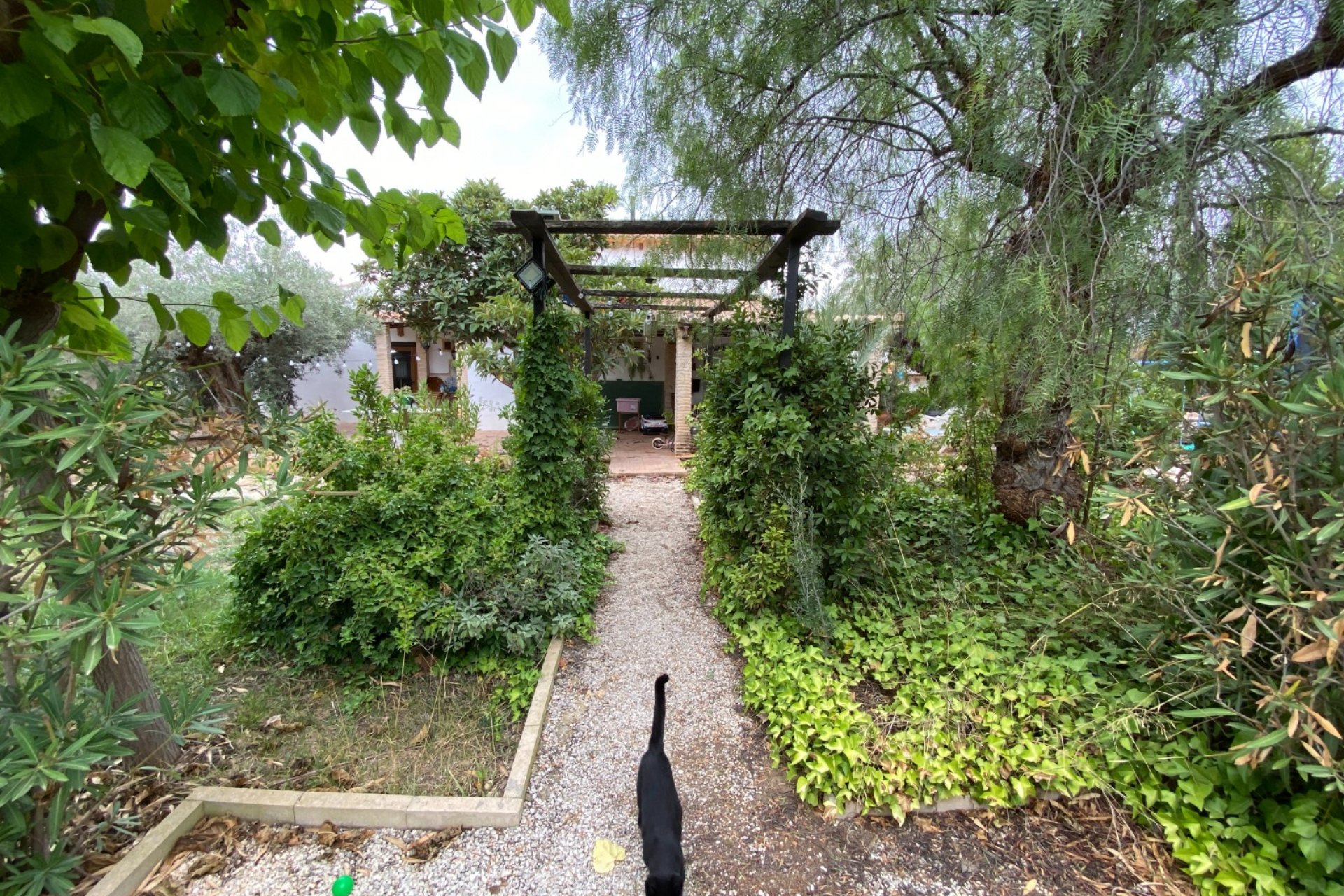 بازفروش - ویلا - Sax