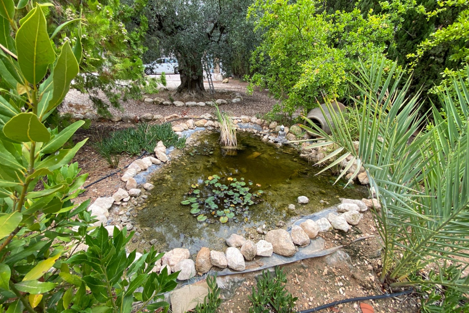 بازفروش - ویلا - Sax