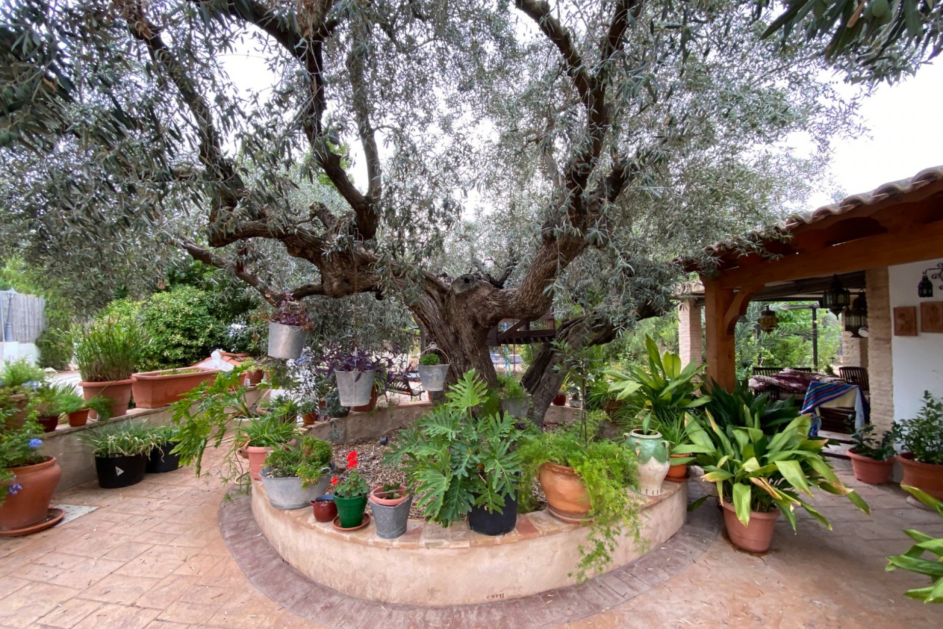 بازفروش - ویلا - Sax