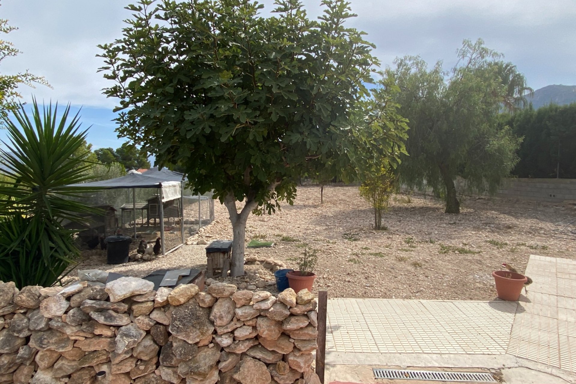 بازفروش - ویلا - Sax