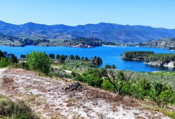 زمین - بازفروش - Planes - Planes