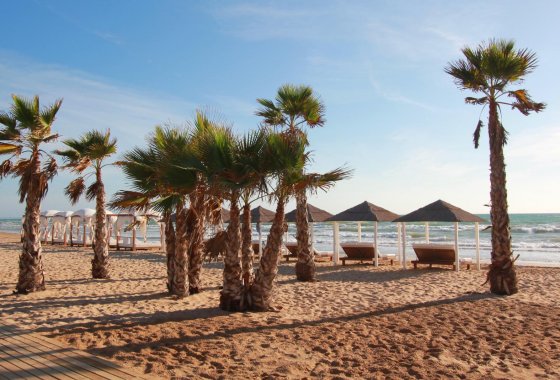 Resale - Apartment - Guardamar del Segura