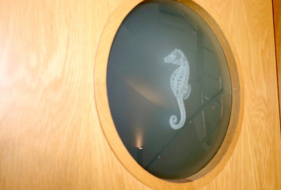 Reventa - Adosado - Guardamar del Segura