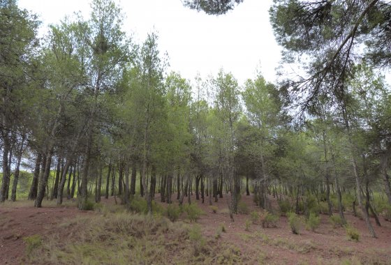 Resale - Country House - Ibi - Ibi - Country