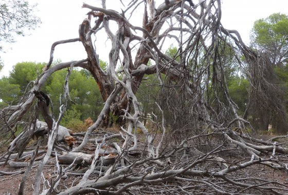 Resale - Country House - Ibi - Ibi - Country