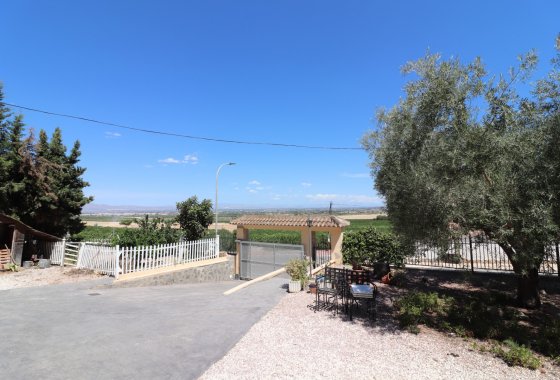 Resale - Villa - Algorfa - Lomas de La Juliana