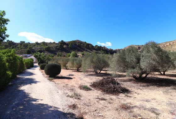 بازفروش - خانه روستایی - Aspe