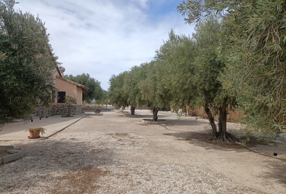 Resale - Country House - Elche - Jubalcoi