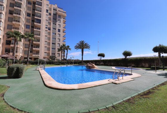 Resale - Apartment - Guardamar del Segura - Guardamar del Segura - Town