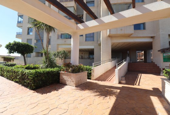 Resale - Apartment - Guardamar del Segura - Guardamar del Segura - Town